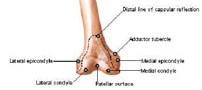 Durerile de genunchi: simptome, cauze si tratament Dureri de venă la genunchi