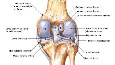 edem al țesuturilor moi paraarticulare ale articulației genunchiului)